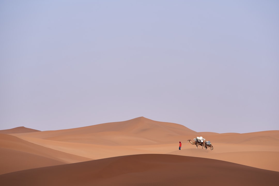 Arabian Ranches Desert Community Guide