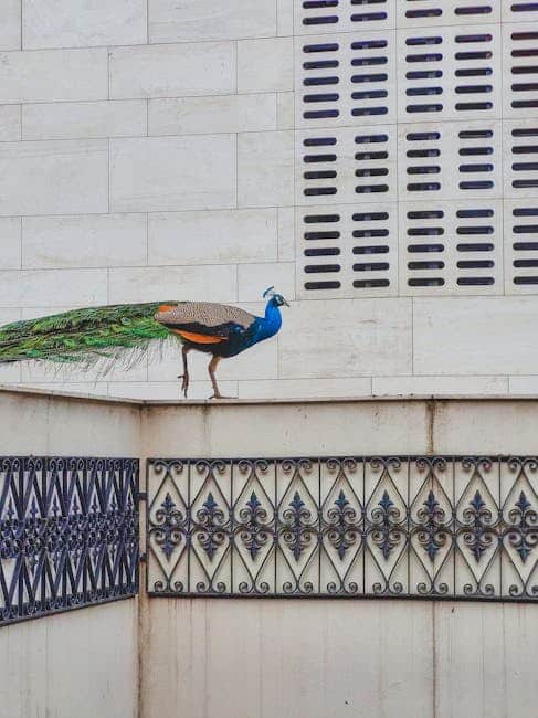 Dubai Travel Mistakes: 15 Things to Avoid