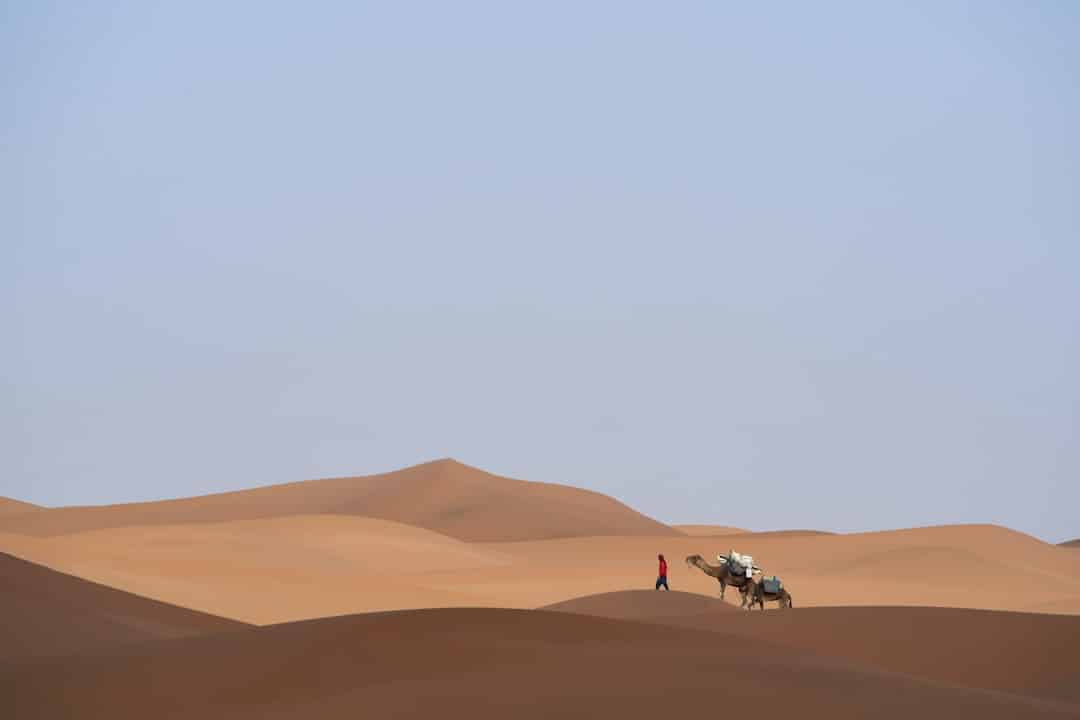 Dubai Adventure Itinerary: 4 Days of Thrills