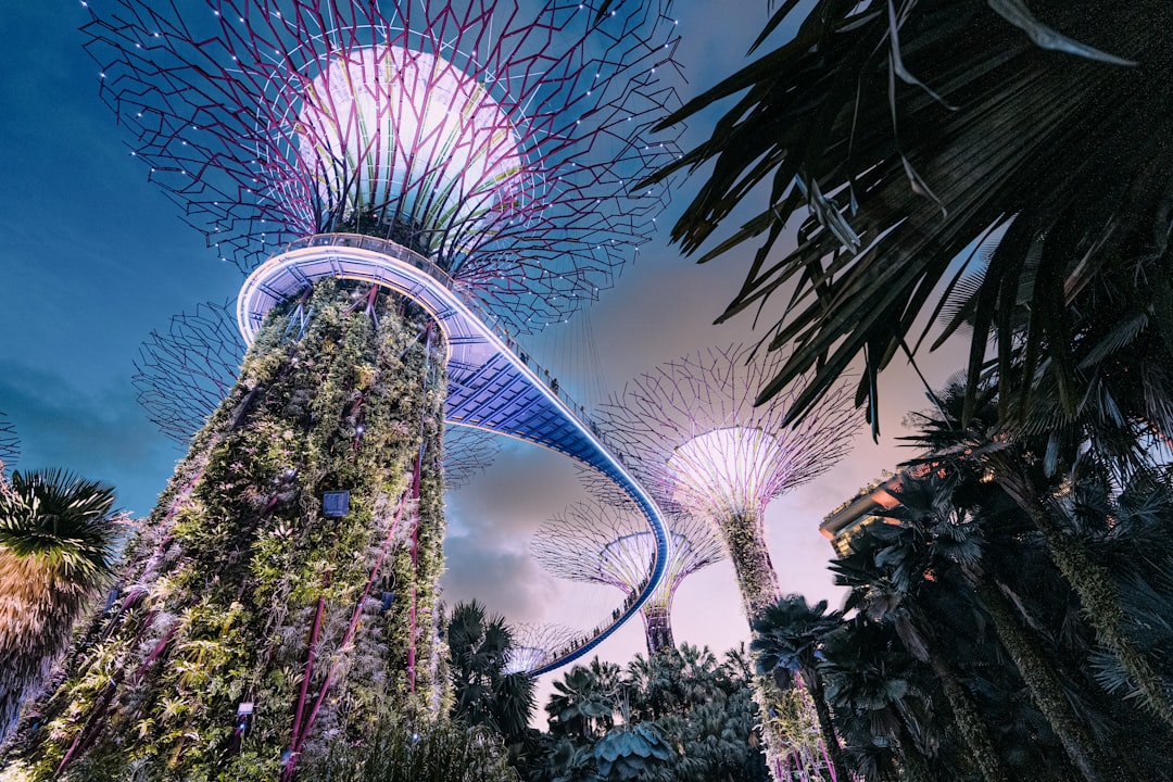 Dubai Miracle Garden: Timing, Tickets & Best Photo Spots