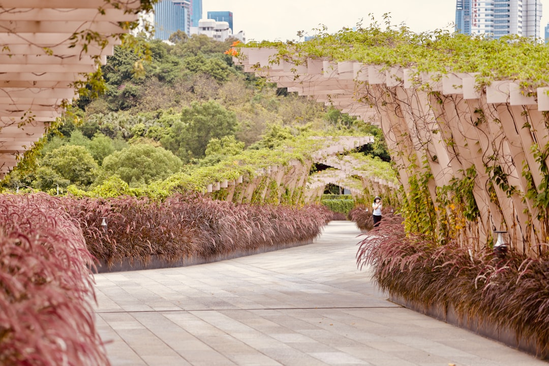 Al Ain Day Trip: The Garden City of UAE