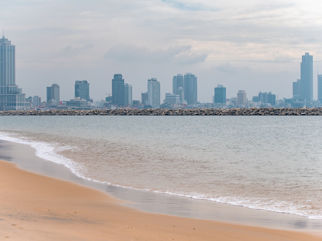 Beach Club Brunch Dubai – Experience Guide