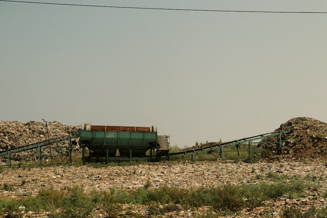 Automatic Lebanese Manakish Jumeirah – Experience Guide