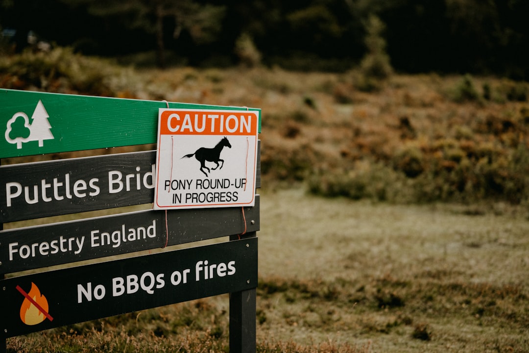 Rivington Grill British – Experience Guide