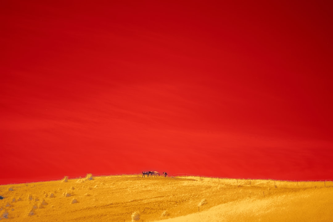 Red Dunes Desert Safari – Experience Guide