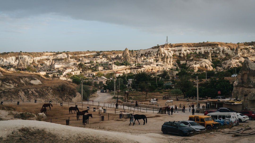 Desert Horse Riding Dubai – Experience Guide