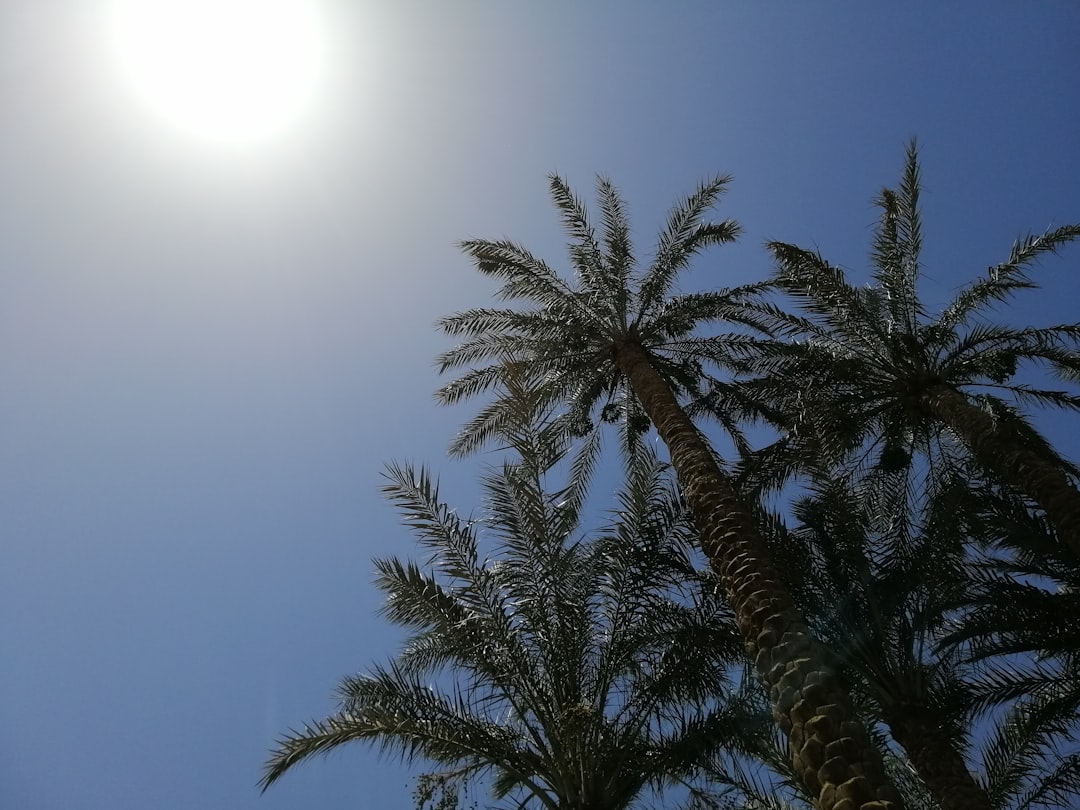 Dubai Sun Protection Heat – Experience Guide