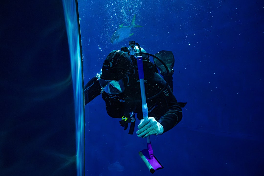 Dubai Scuba Diving Certification – Experience Guide