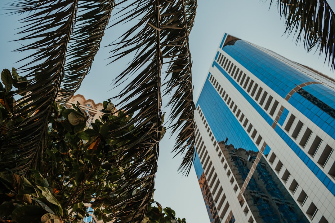 Dubai Marina Parking – Experience Guide