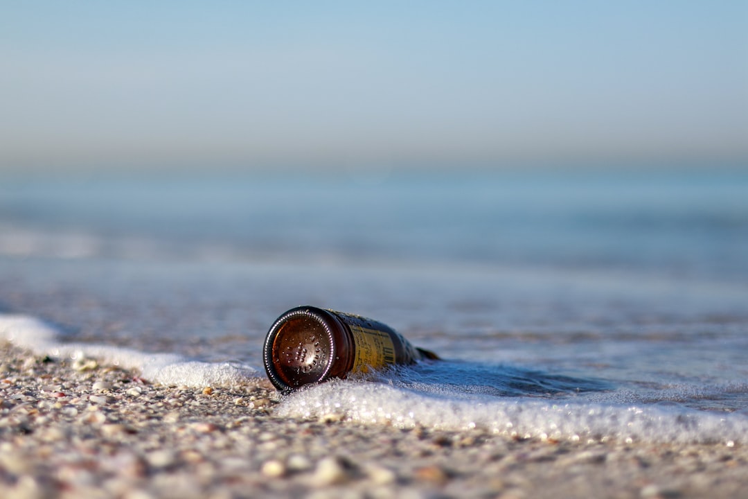 Umm Al Quwain Marine Research – Experience Guide