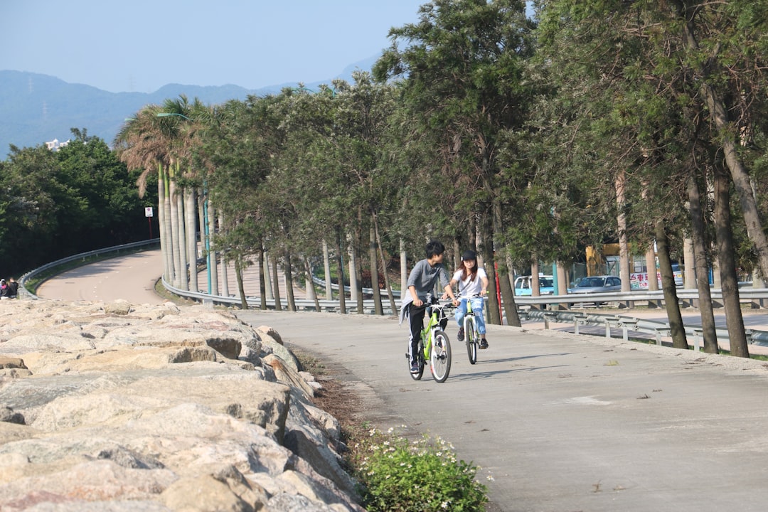 Al Qudra Cycling Track – Experience Guide