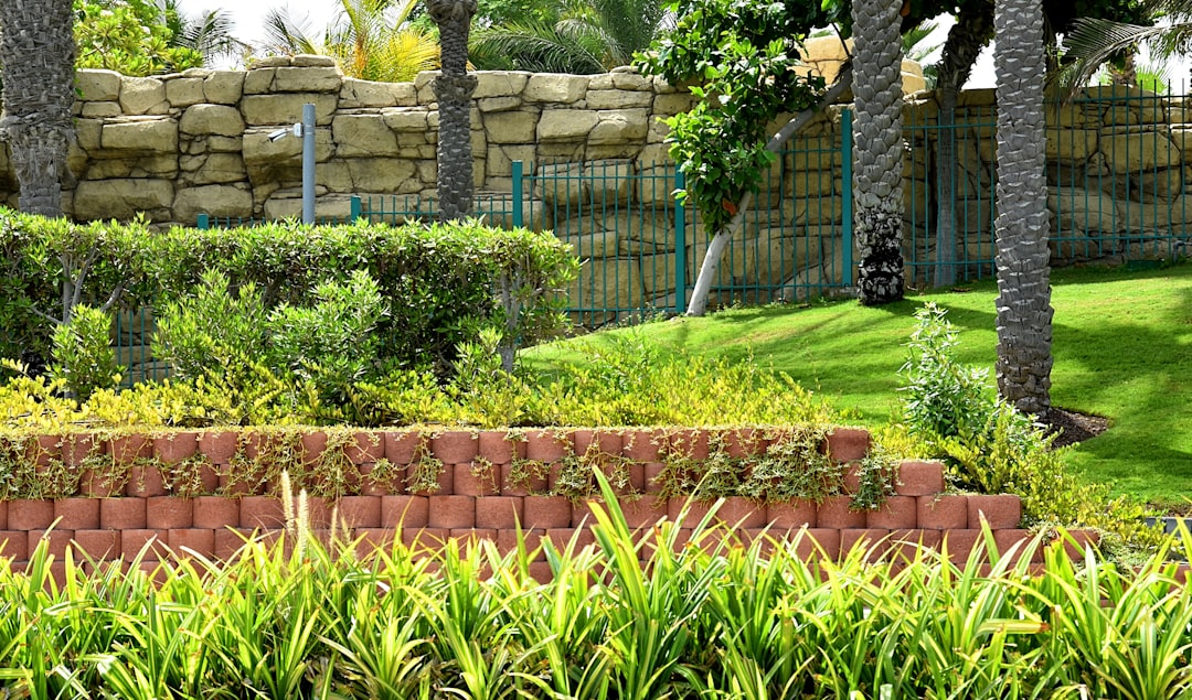 Dubai Garden Centre Plants – Experience Guide