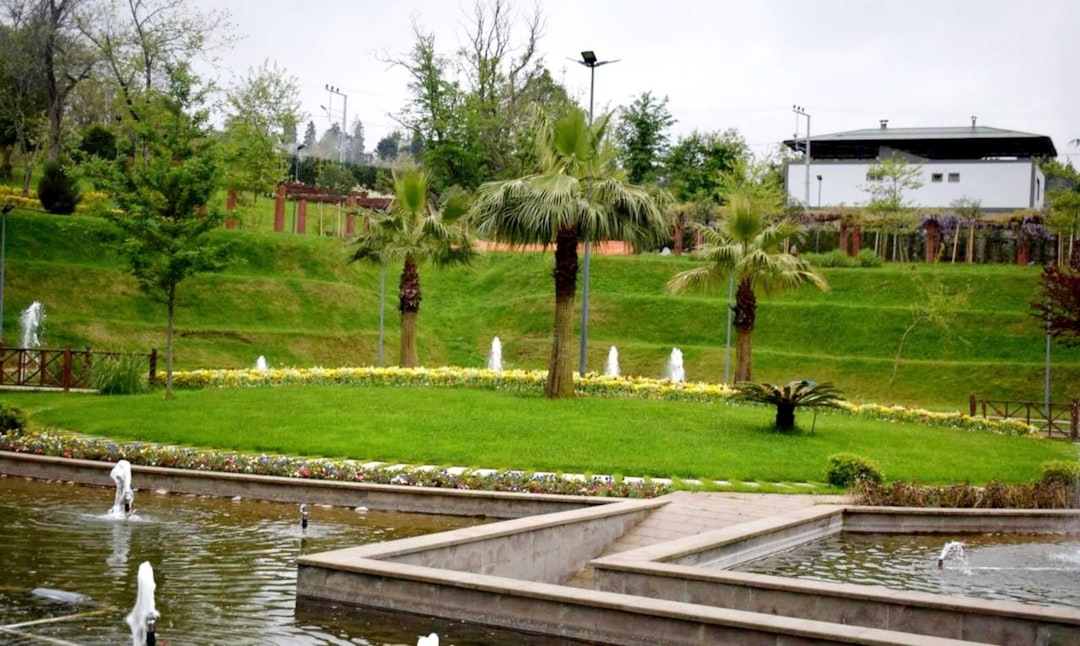 Al Barsha Pond Park – Experience Guide