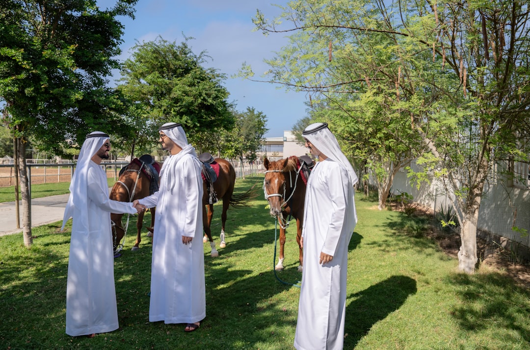 Dubai Stables Horse Riding – Experience Guide