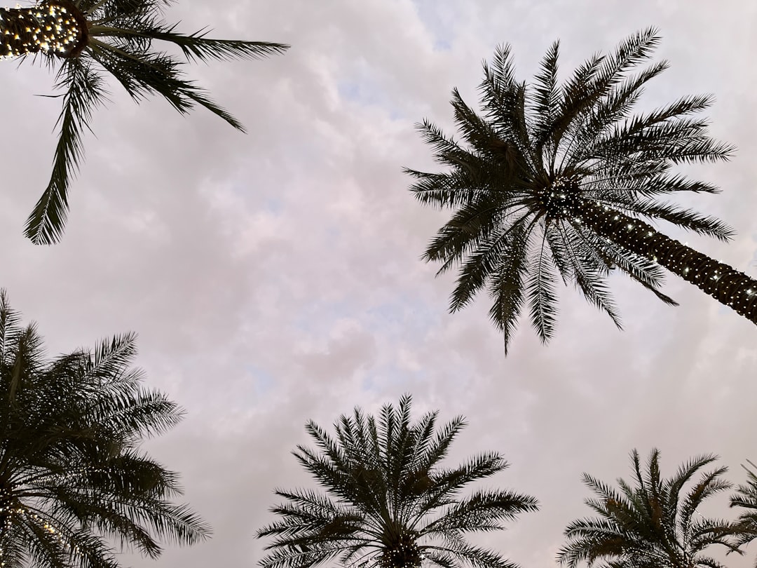 Dubai April Weather – Experience Guide