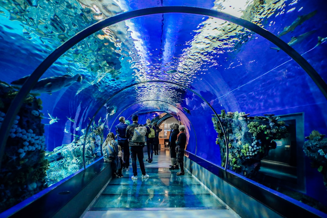 Dubai Aquarium Behind Scenes – Experience Guide