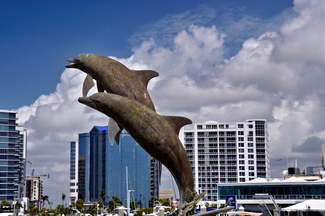 Atlantis Dolphin Bay – Experience Guide