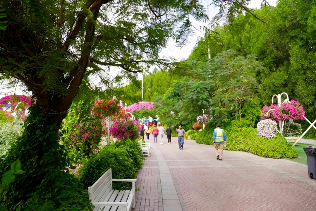 Extend Tourist Visa UAE – Complete Guide 2025