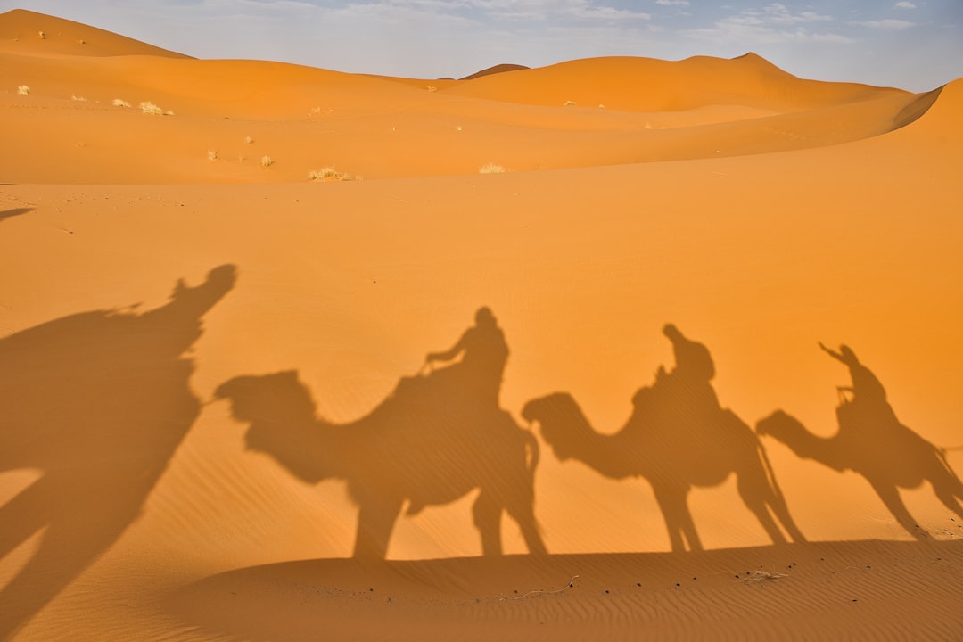 Dubai Desert Safari Visa – Complete Guide 2025