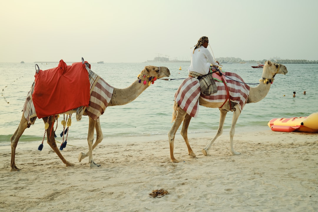 Getting Married in Dubai: Visa Rules – Complete Guide 2025