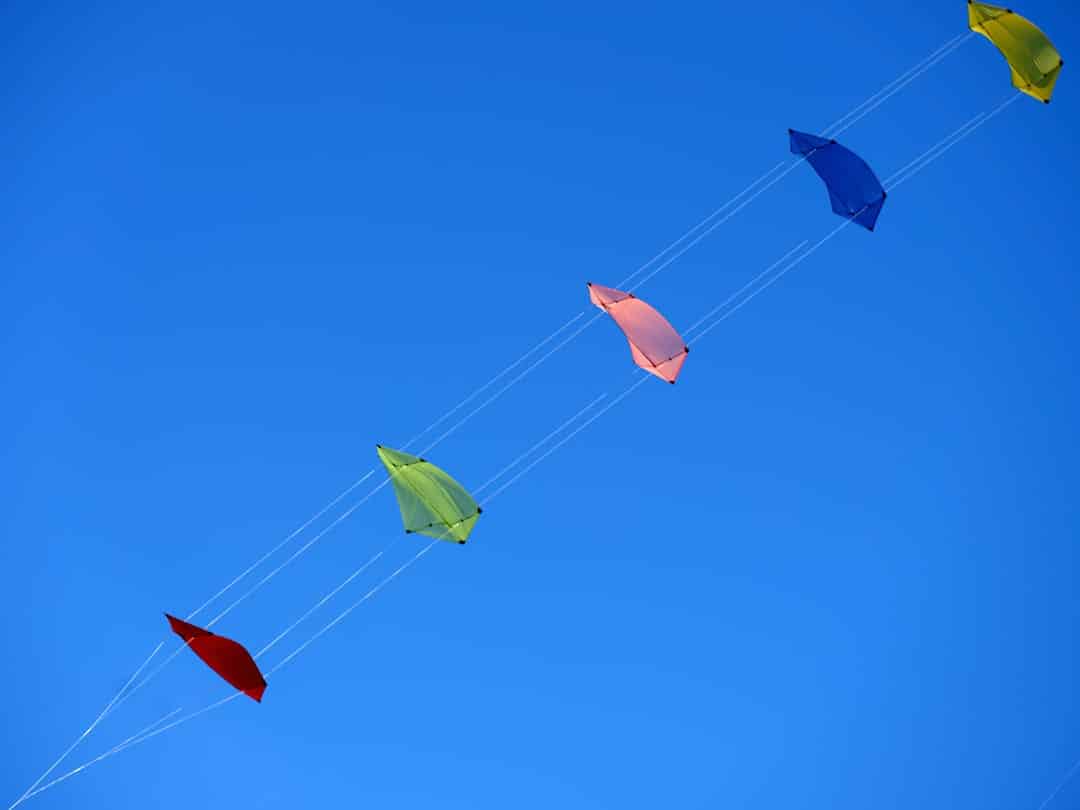 Year of Family Kite Fiesta – Experience Guide