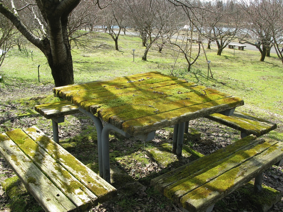Sustainable City Farm Table – Experience Guide