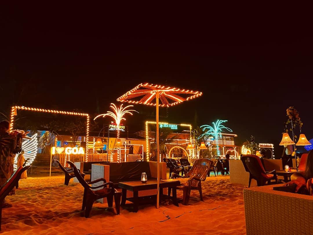 Al Ain Oasis Night Walks – Experience Guide