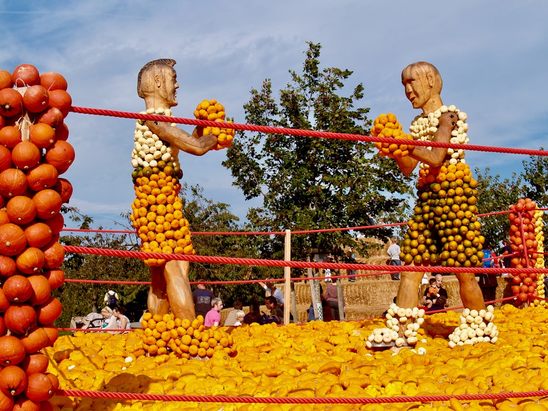 Hatta Honey Festival – Experience Guide